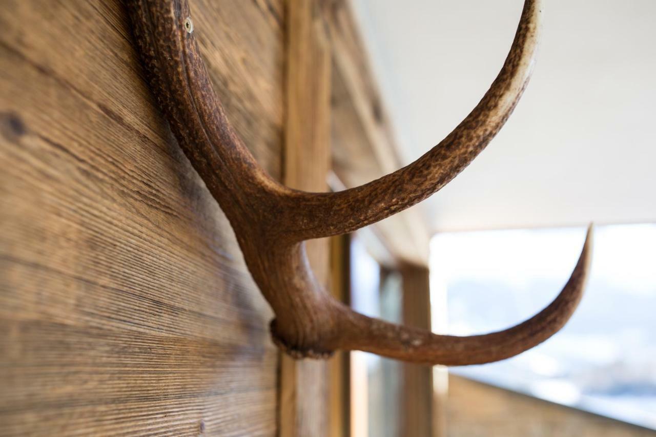 Naturlodge Ehemals Alpenlodge Alexander Inklusive Sommer Bergbahnticket Apartment Ladis